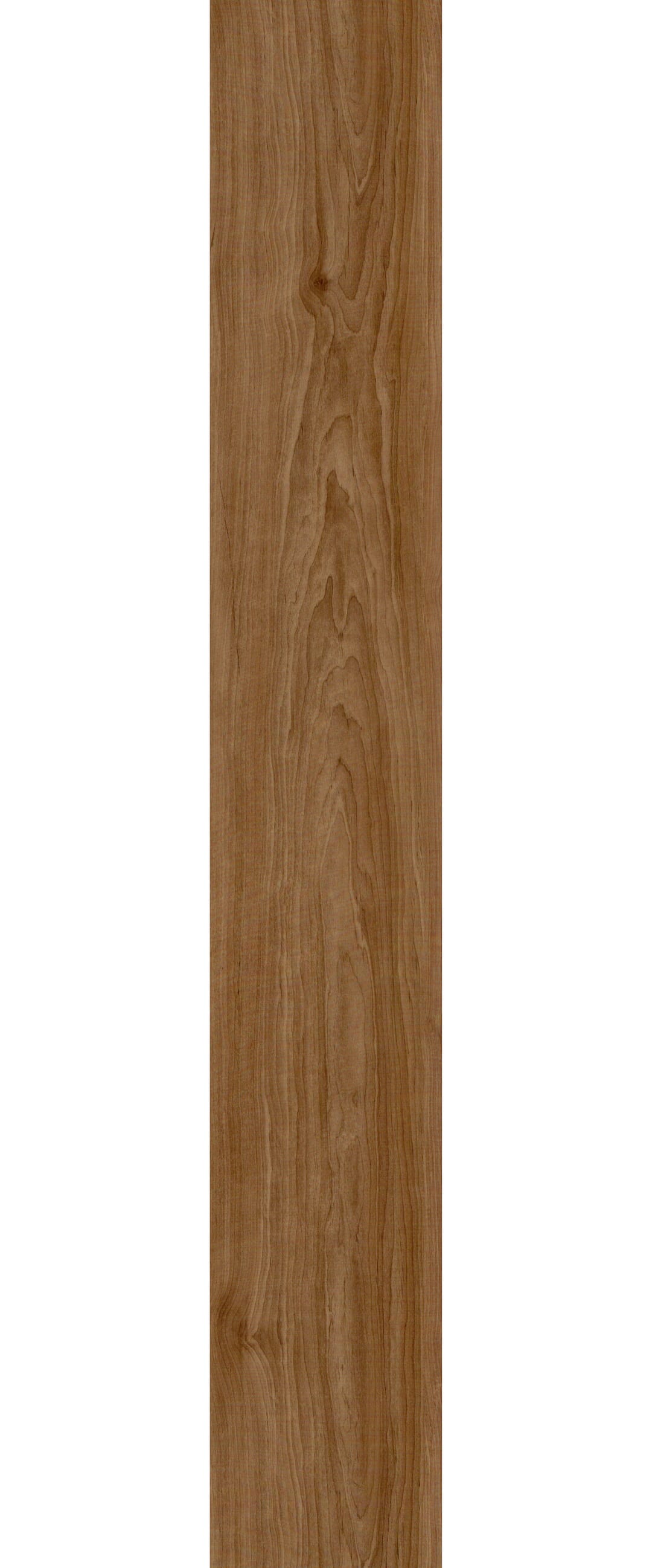 FL-305-DRI