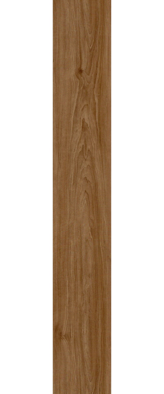FL-305-DRI