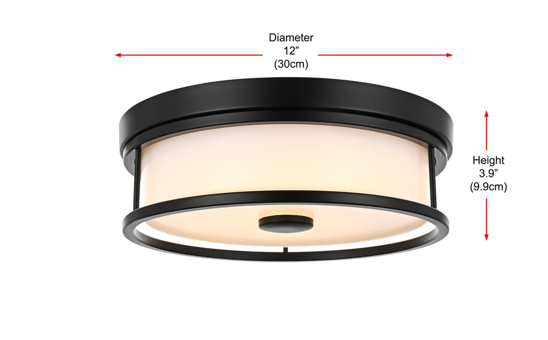 LD305F12BK