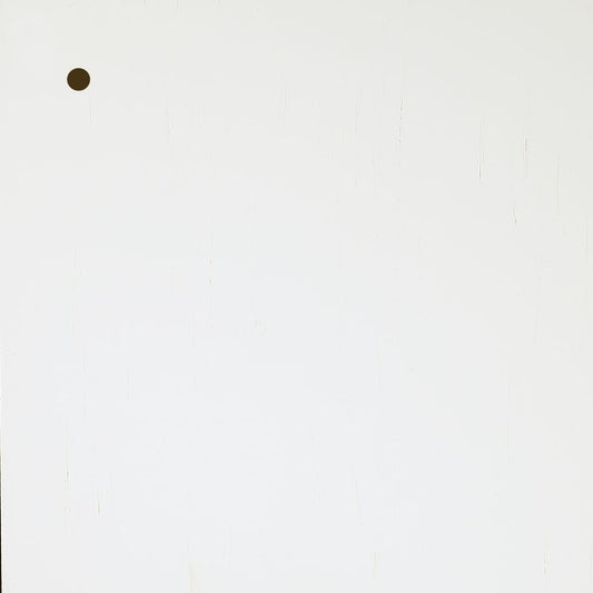 WD-101